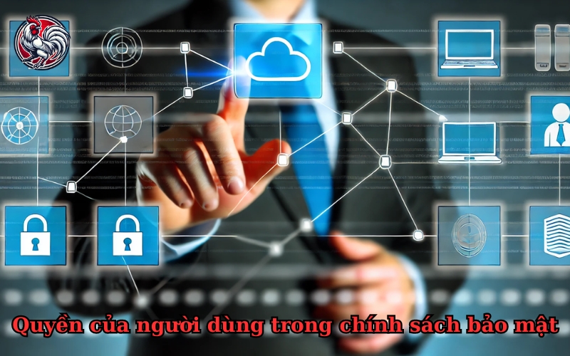 Quyền của người dùng trong chính sách bảo mật